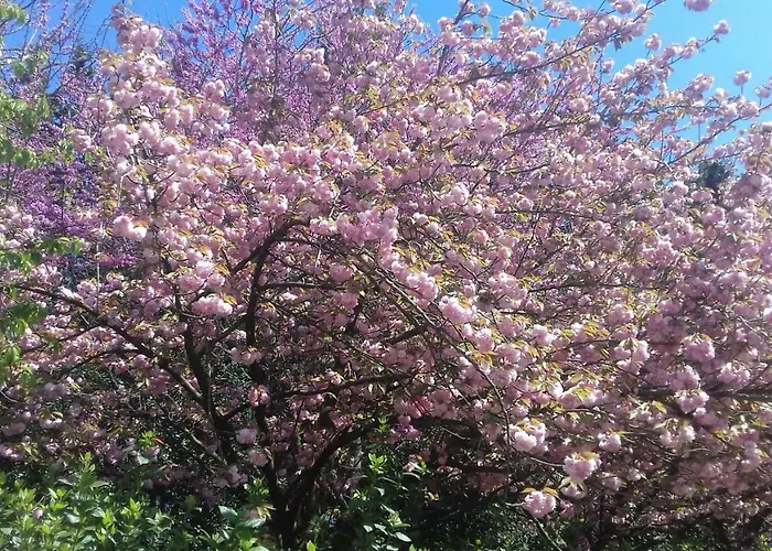 La Macchia Semesterbostad Botrugno