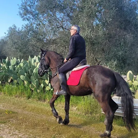 Ferienhaus La Macchia *